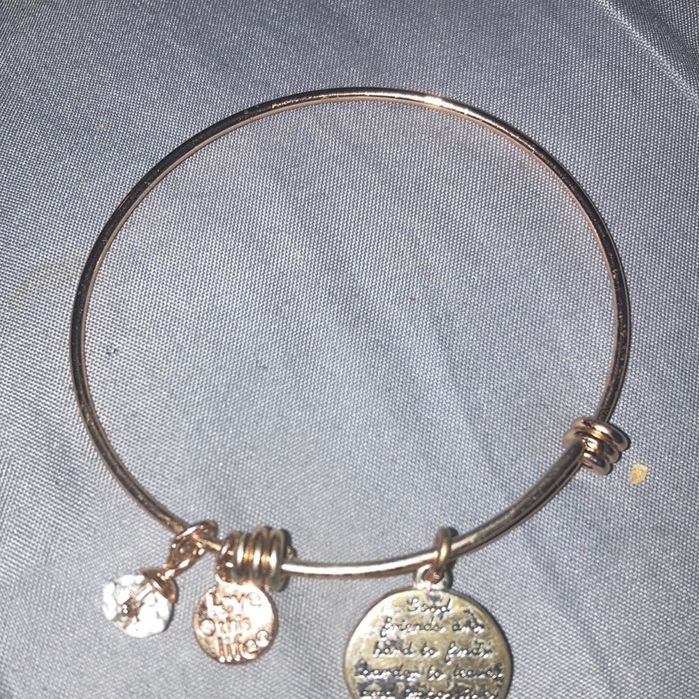 Bracelet, very cute. Has butterfly and writing on the charms